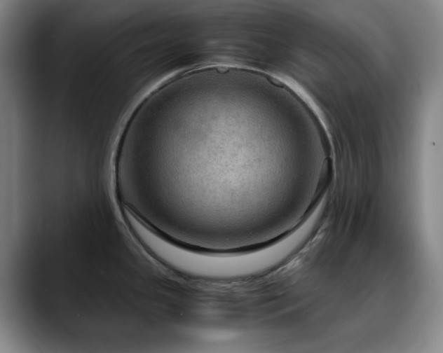 X0000090621341200707171428