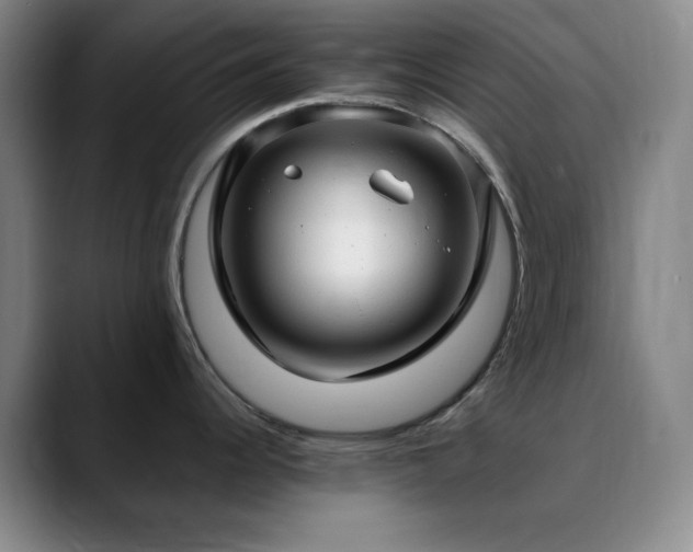 X0000090621344200707171428