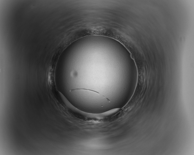 X0000090621346200707171428