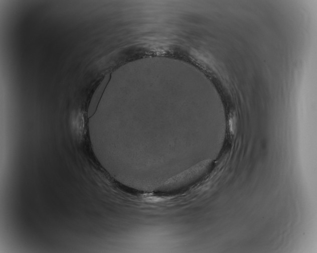 X0000090621347200707171427