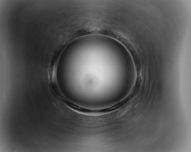 X0000090621348200707171427