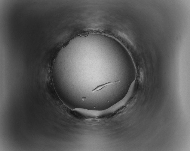 X0000090621350200707171427