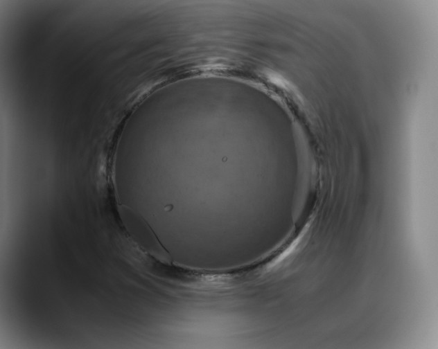 X0000090621353200707171427