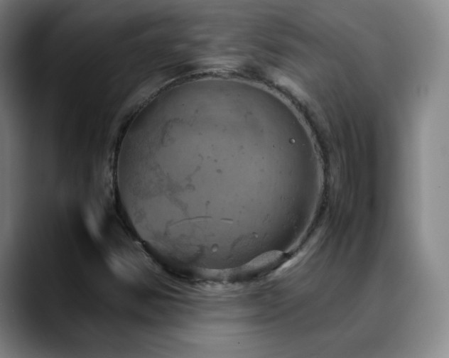 X0000090621354200707171427