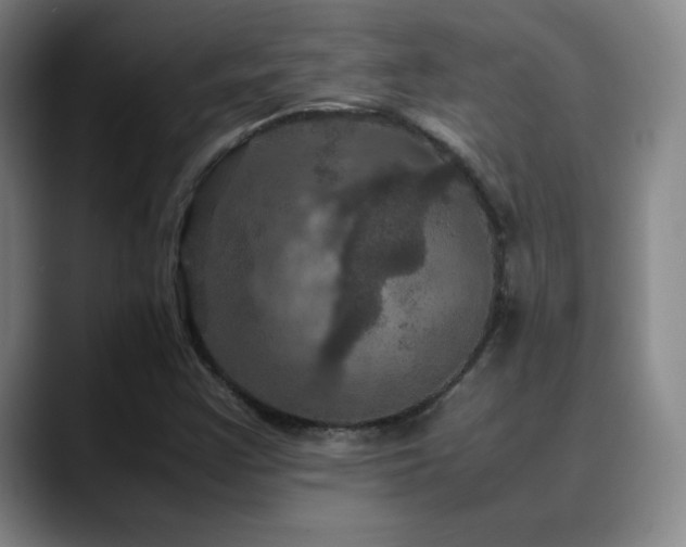 X0000090621355200707171427