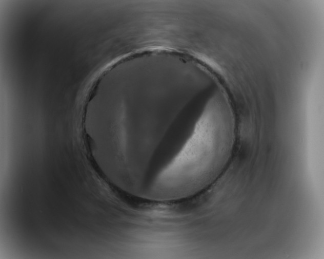 X0000090621359200707171427