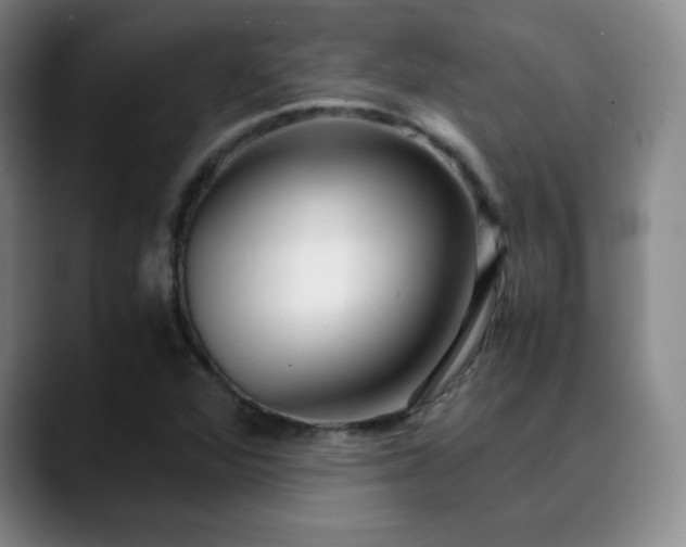 X0000090621360200707171427