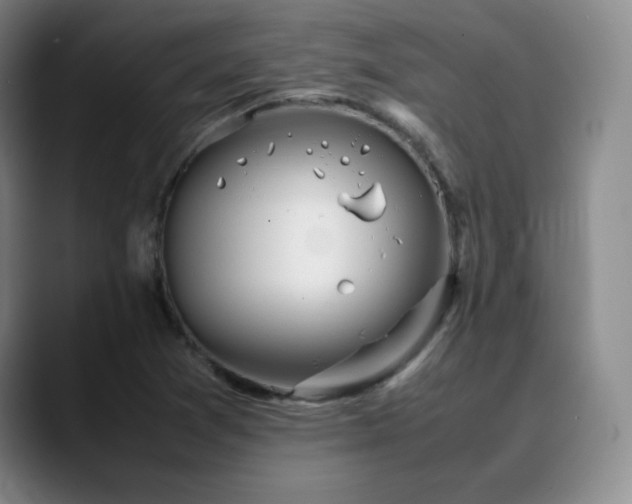 X0000090621361200707171427