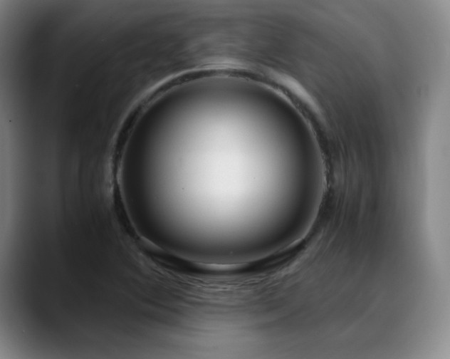 X0000090621364200707171427