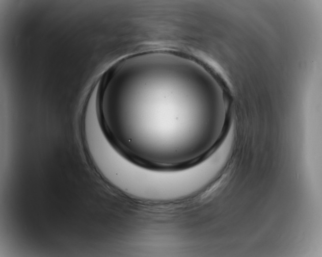 X0000090621365200707171427