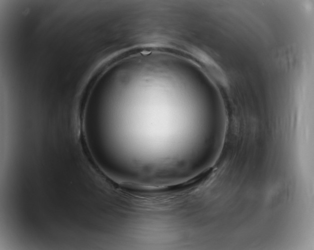 X0000090621368200707171427