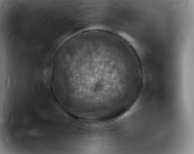 X0000090621369200707171427