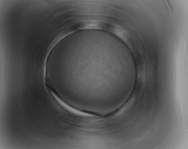 X0000090621370200707171427
