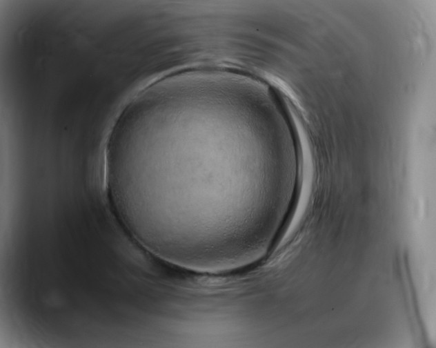 X0000090621371200707171427