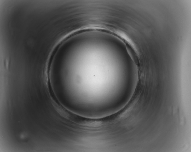 X0000090621372200707171427