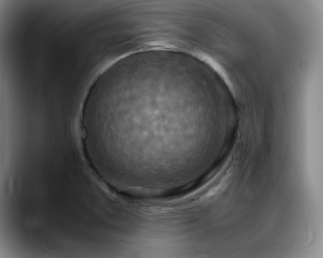 X0000090621373200707171427
