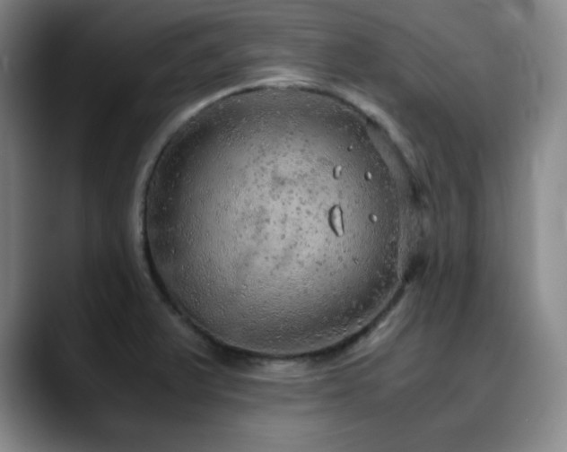 X0000090621375200707171427