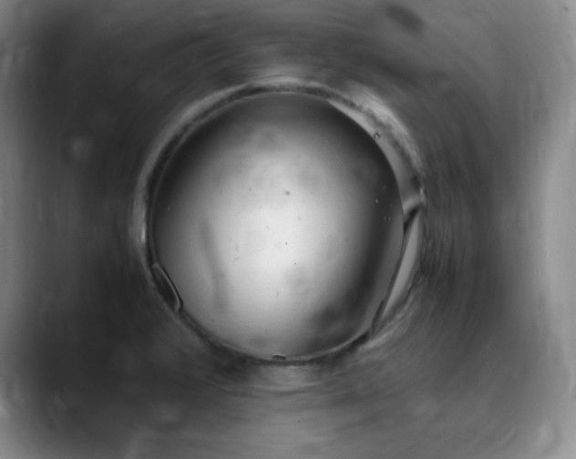 X0000090621376200707171427