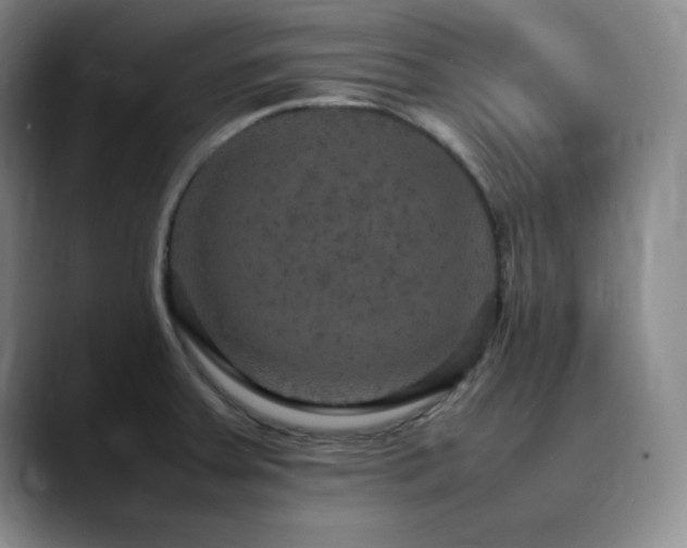 X0000090621379200707171427