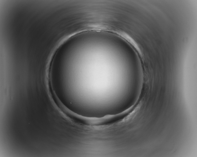X0000090621381200707171427