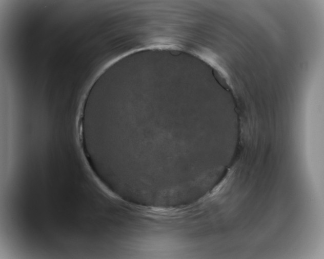 X0000090621383200707171427