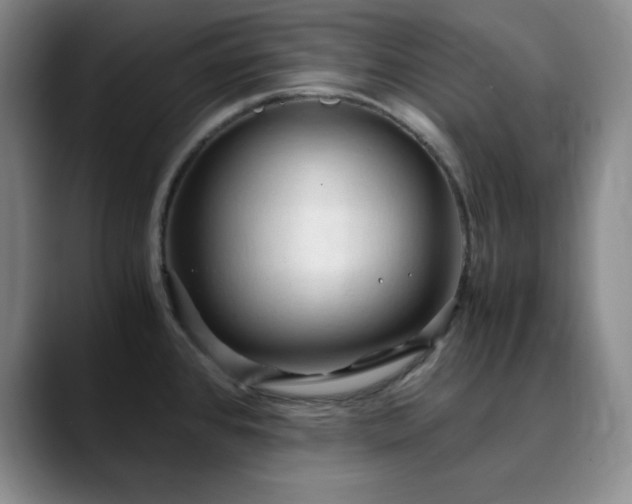 X0000090621384200707171427