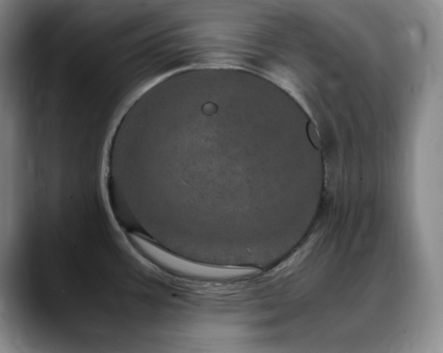 X0000090621387200707171427