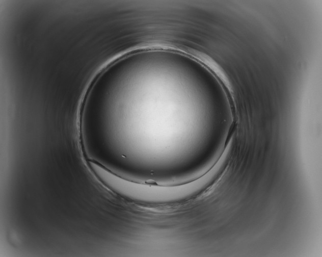 X0000090621388200707171427