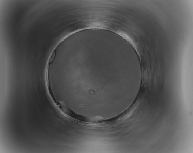 X0000090621391200707171427