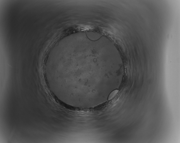 X0000090621393200707171426