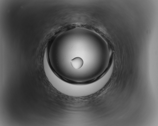 X0000090621398200707171426