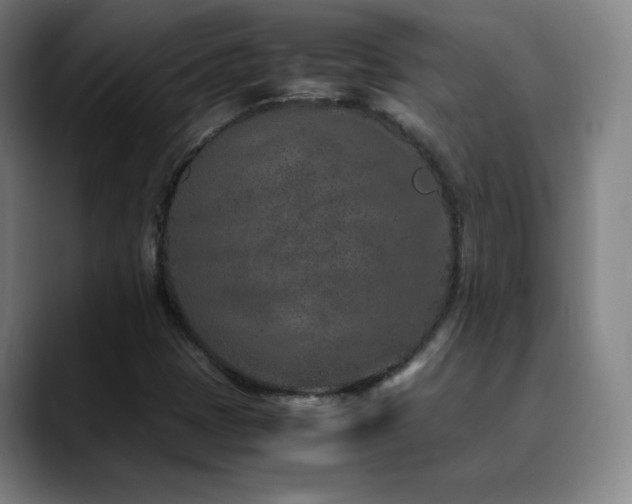 X0000090621401200707171427