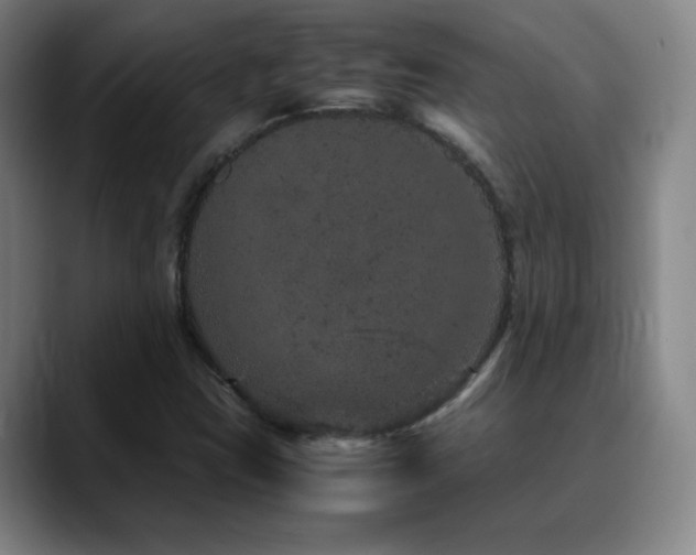 X0000090621403200707171427