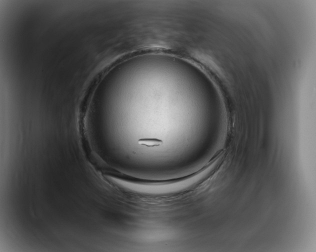 X0000090621404200707171427