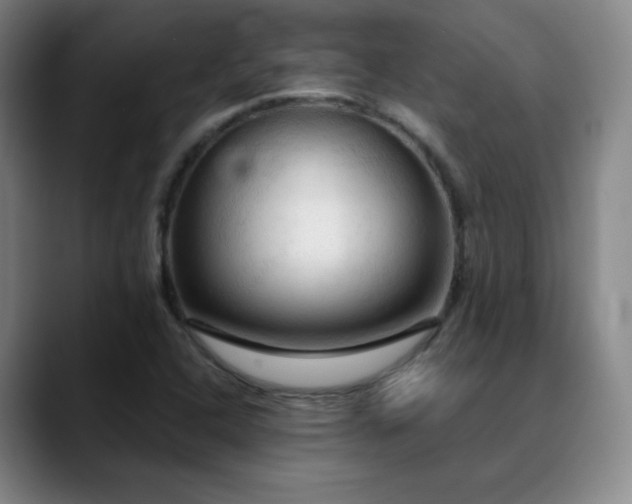X0000090621408200707171427