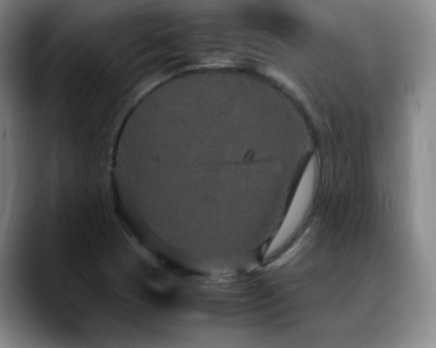 X0000090621409200707171427