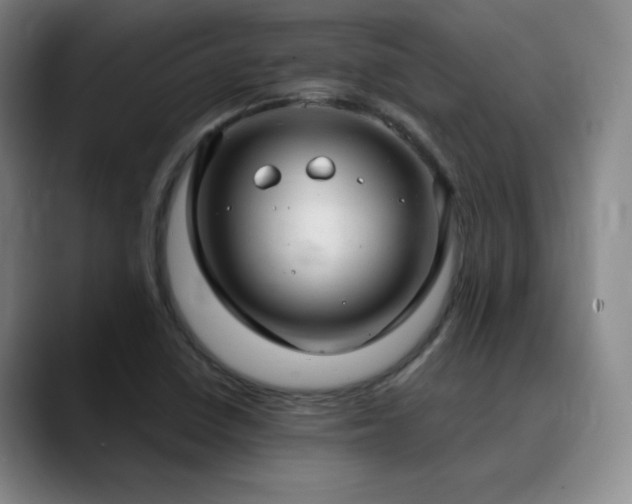 X0000090621410200707171427