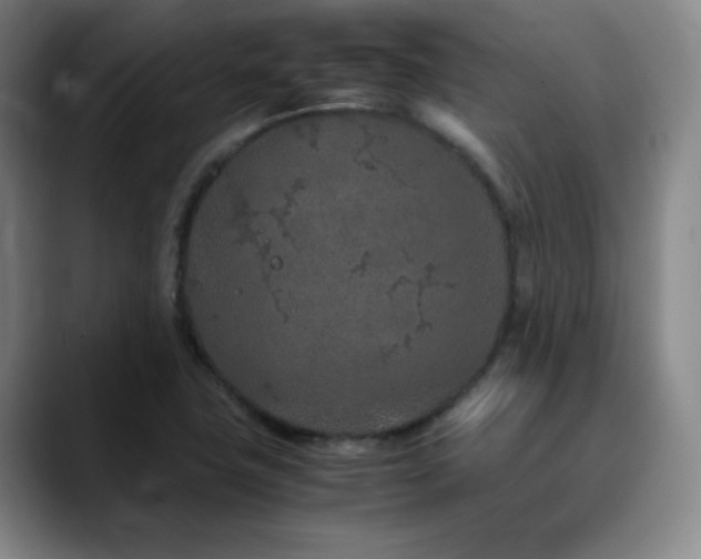 X0000090621411200707171427