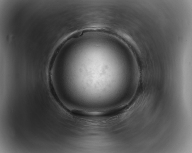 X0000090621412200707171427