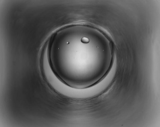 X0000090621414200707171427