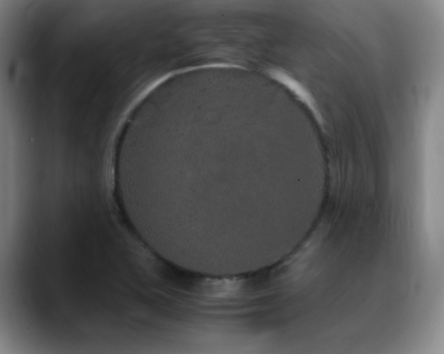 X0000090621415200707171427