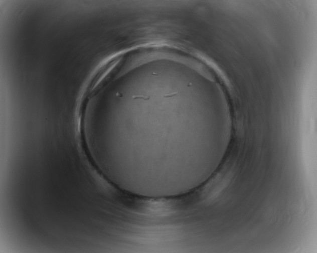 X0000090621416200707171427