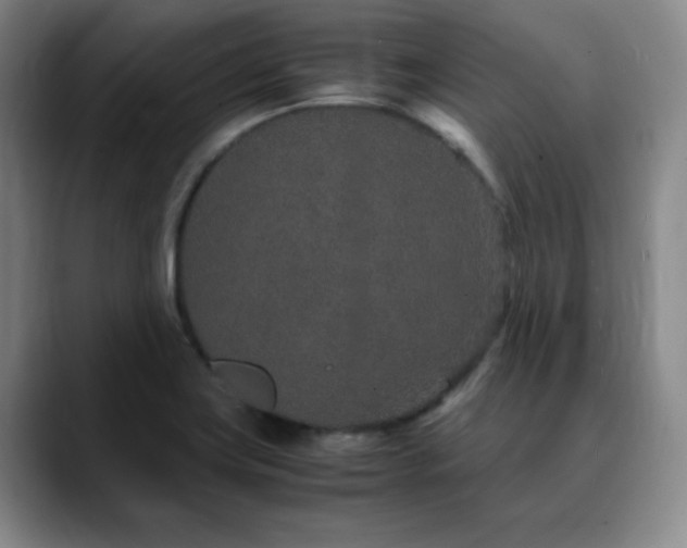 X0000090621419200707171427