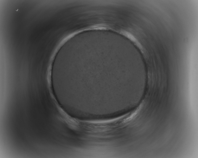 X0000090621421200707171427