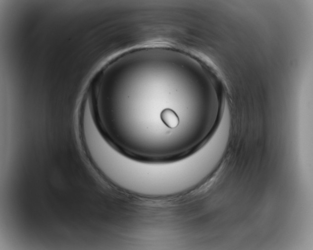 X0000090621422200707171427