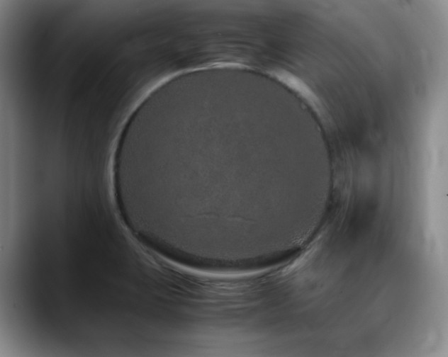 X0000090621423200707171427