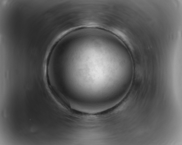X0000090621424200707171427