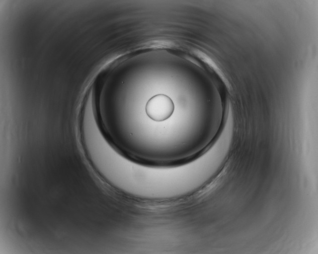 X0000090621426200707171427