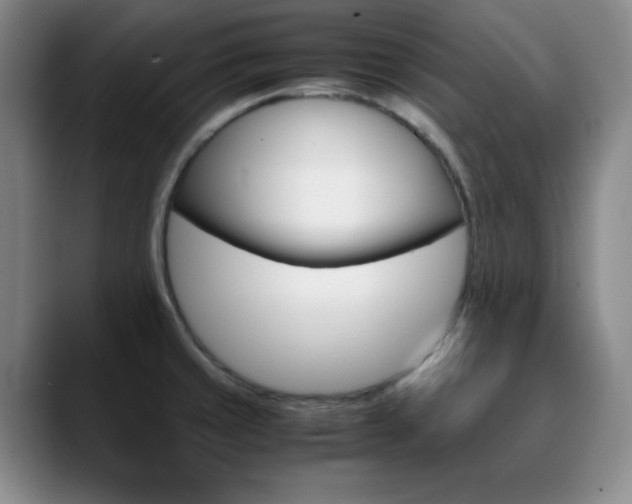 X0000090621429200707171427