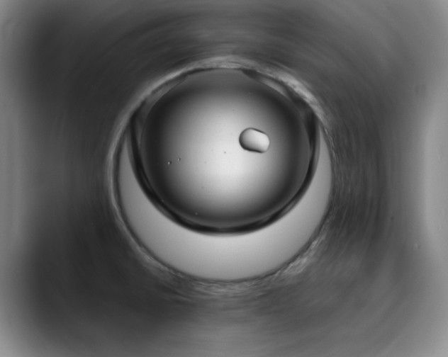 X0000090621430200707171427